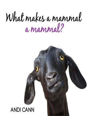 cover image of What Makes a Mammal a Mammal?